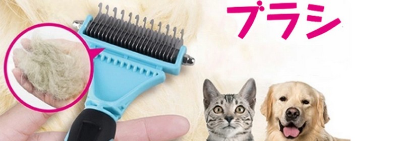 ������,�ыʎ��,���_�� �w�y�b�g�p���ʃu���V�x���T�C�g